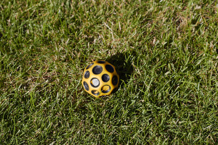 A small yellow rubber ball for playing with a dog lies on a green lawn. Care and love from a pet. outdoor games.の写真素材