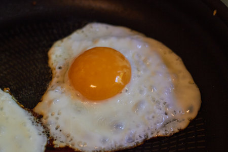 Photo scrambled eggs fried egg yolk and proteinの写真素材