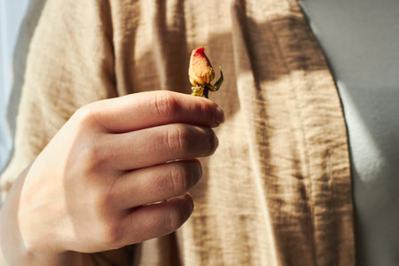 Photo of woman in her hand holding withered rosebud. Romance, tenderness, love. postcard.の写真素材