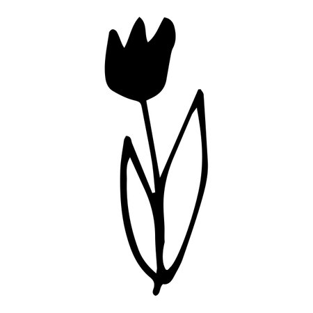 Tulip flower vector element on white background. Botany. Floristics. Symbol for design.のイラスト素材
