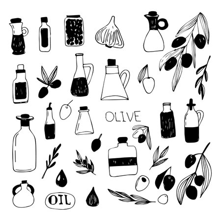 Vector set of olive branches and olive oil.のイラスト素材