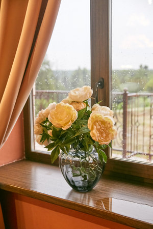 Cream peonies in a glass vase on the window.の写真素材