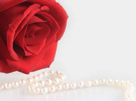 red rose white pearl necklace love presentの写真素材