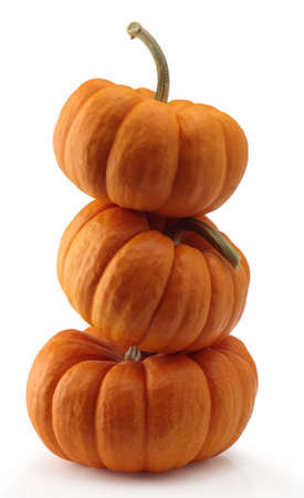 pumpkin three orange halloween thanksgiving harvesr isolatedの写真素材