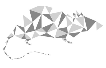 Silver grey metallic rat geometric outline looking right. Animal geometric triangle outline in white background for New Year 2020. Concepts: chinese new year, rat, mouse, polygonの写真素材
