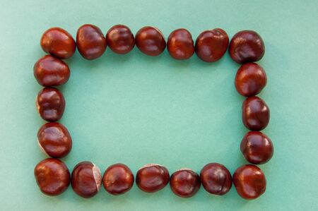 Rectangular frame of sweet chestnuts on a blank green background. Top view, copy space.の写真素材