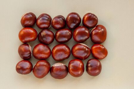 Sweet chestnuts rectangle on a blank grey background. fresh chestnuts ready to roast showing clock and time with red leaves. Top view, copy space. Concepts: autumn, fresh, green, ecoの写真素材