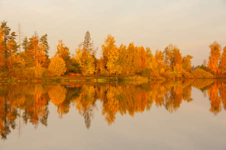 Autumn bright forest reflected in water of lake. Colorful autumn morning landscape. Concepts: season, peaceful, idyllicの写真素材