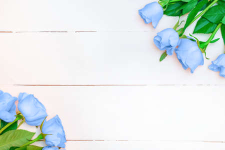 Soft blue roses on white wooden background. Top view with copy spaceの写真素材