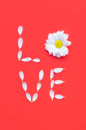 Word LOVE made of white petals and flowers on red background.の写真素材