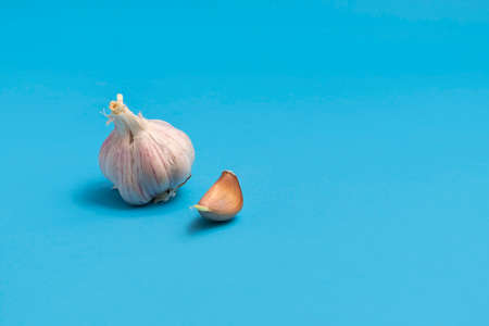 Close up image of fresh unpeeled garlic on blue backgroundの写真素材
