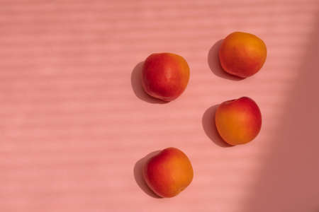 Delicious ripe sweet apricots on pink background with harsh shadows, creative flat layの写真素材