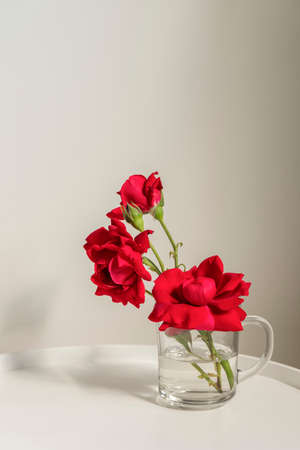 Beautiful red roses in a glass cup on white coffee table with space for textの写真素材
