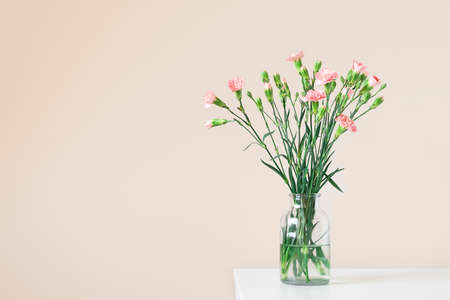 Fresh bouquet of Carnation flowers in a glass vase on white table on light beige background with space for text, front view. Elegant floral compositionの写真素材