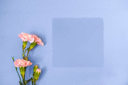 Elegant, romantic, fresh mockup with border on pastel blue background with water drops and flowers, copy spaceの写真素材