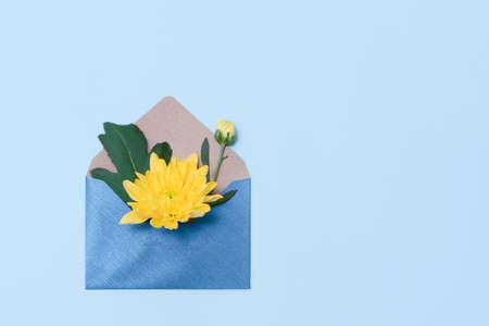 Flowers in an open envelope on pastel blue background. Blue envelope with yellow roses. Concept of sending greetings, love, friendship and joy.の写真素材