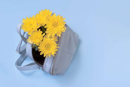 Stylish yellow flowers in a bag on pastel blue background with copy space. International Womens Day. Hello springの写真素材