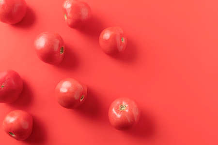 Fresh red tomatoes on red background with space for textの写真素材