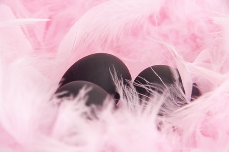 glamour easterの写真素材