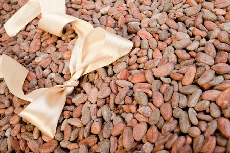 light bow are on cocoa beansの写真素材