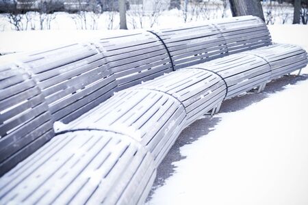 benches standing in park and covered with snow