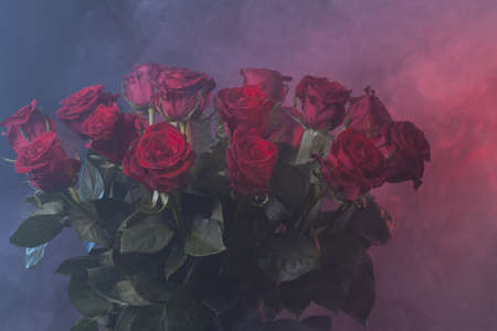 bouquet of red roses on red and blue smoky backgroudの写真素材