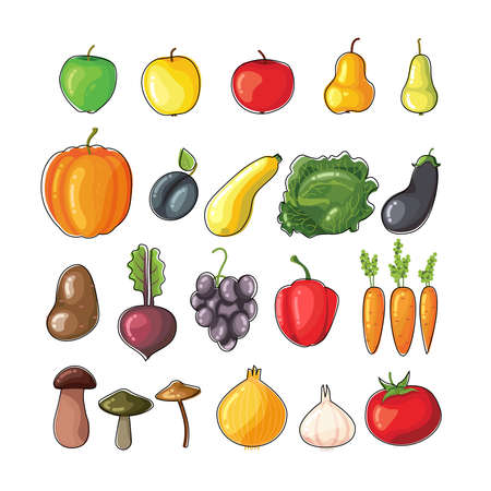 Autumn fruits and vegetables. Flat vector illustration. Fruits and vegetables for menu or advertising. Bright colors. Design templateのイラスト素材