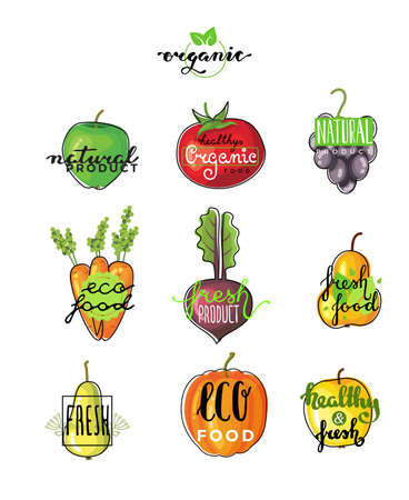 Hand lettering logo of vegetarian ecology fresh food. Hand drawn typeface. Eco bio raw food. Vector illustration of fruits and vegetablesのイラスト素材