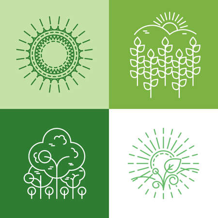 ecology and organic icons in outline style - abstract design elements and signsのイラスト素材