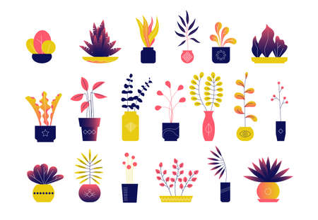 Set of bright modern flat houseplants, leaves and flowers.のイラスト素材