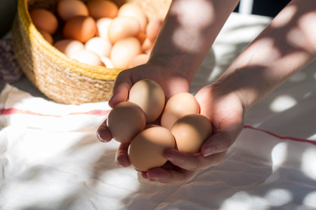 Farmer's hands with eggs. Farm eggs rustic still life. Retro closeup for concept design. Healthy...