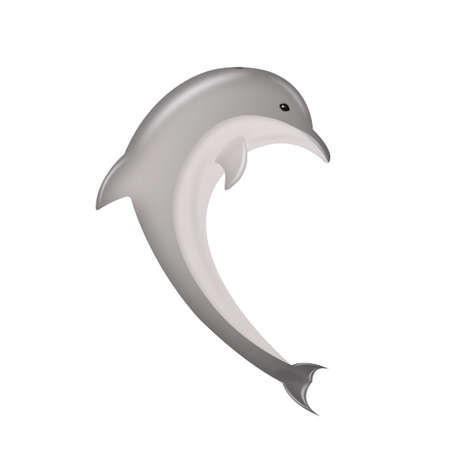 gray dolphin who jumped into the airの写真素材