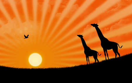 illustration of savannah with  two giraffes during a sunsetの写真素材