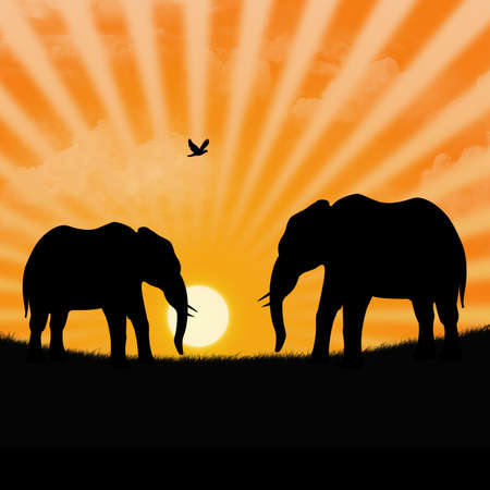 illustration of savannah with two elephants during a sunsetの写真素材