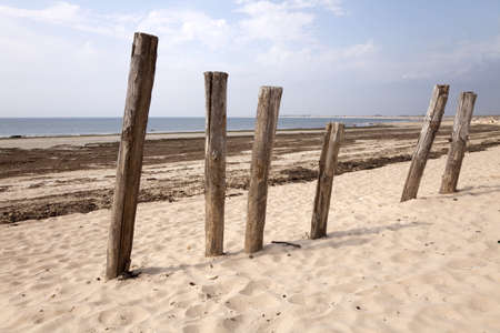 Poles in the sandの写真素材