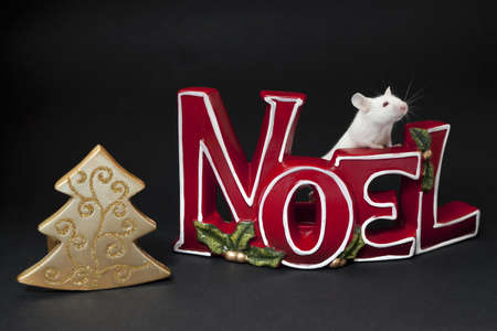 Christmas Mouseの写真素材
