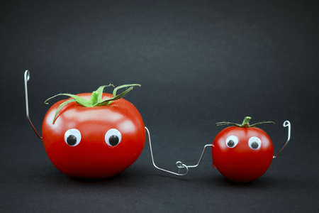Father and son tomato	