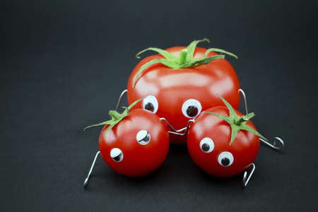 tomato familyの写真素材