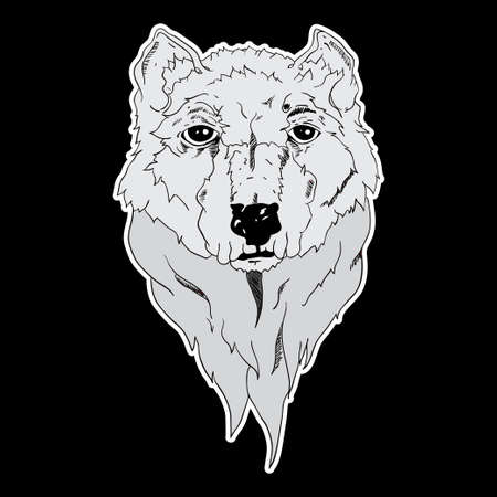 White wolf