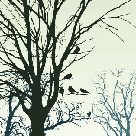 Panorama of wild coniferous forestのイラスト素材