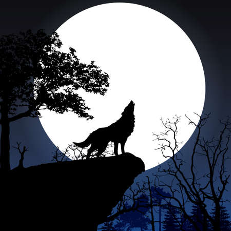 Howling to the full moonのイラスト素材