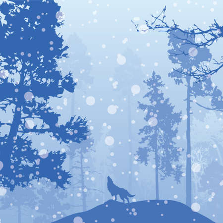 Panorama of wild coniferous winter forestのイラスト素材