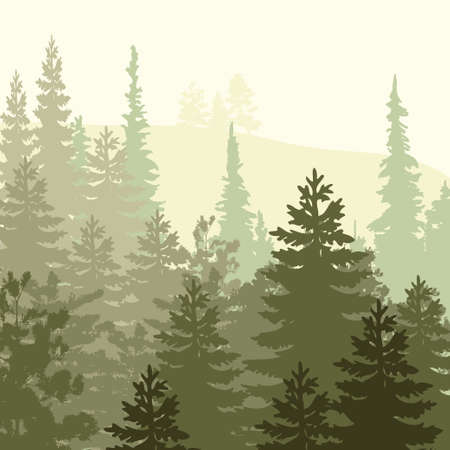 Panorama of wild coniferous forestのイラスト素材