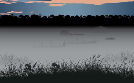 Foggy swamp and wild coniferous forest. Vector ilustrationのイラスト素材