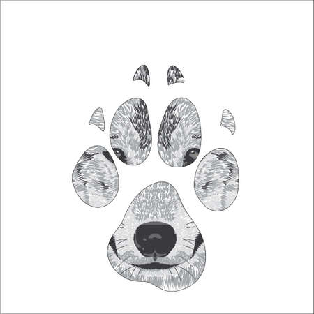 silhouette animal trail. Vector illustrationのイラスト素材