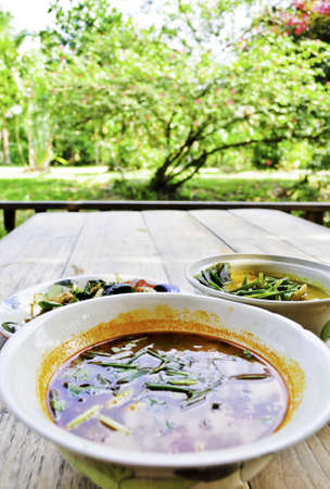 A bowl tom yum soup in a garden picnic areaの写真素材