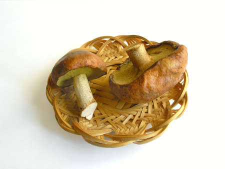 Two edible funguss in basketの写真素材