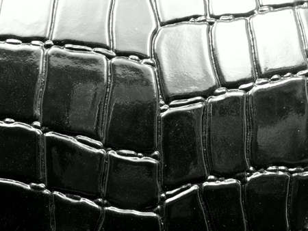 Texture crocodile leatherの写真素材
