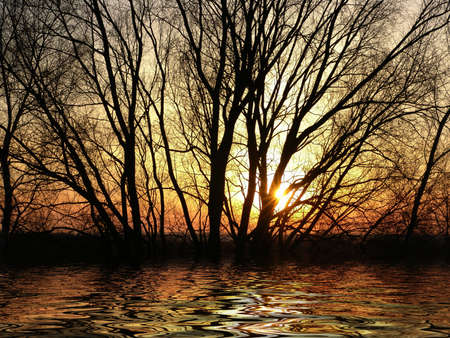 Beautiful sunsetの写真素材