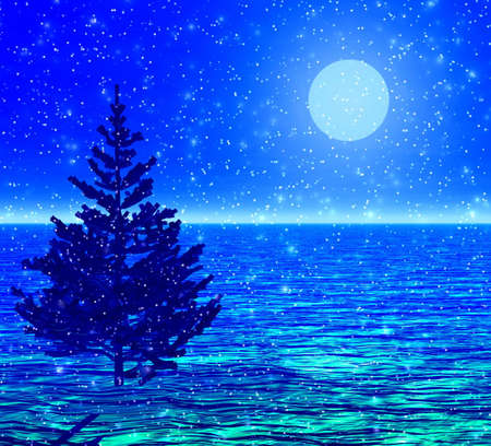 Christmas-tree in a moonlight.の写真素材